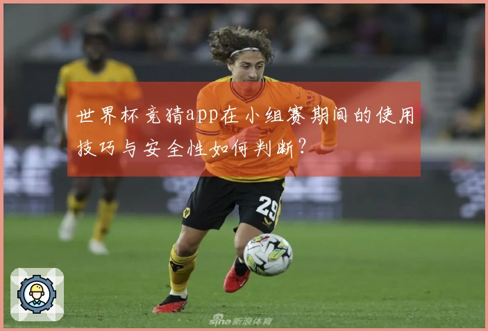 世界杯竞猜app在小组赛期间的使用技巧与安全性如何判断？
