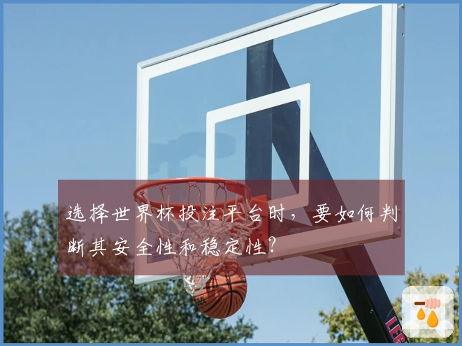 选择世界杯投注平台时，要如何判断其安全性和稳定性？