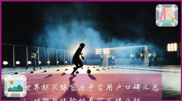 世界杯买球官方平台用户口碑汇总：功能与体验的真实反馈分析