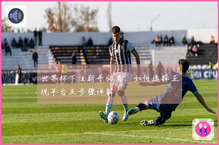 世界杯下注新手必看：如何选择正规平台及步骤详解
