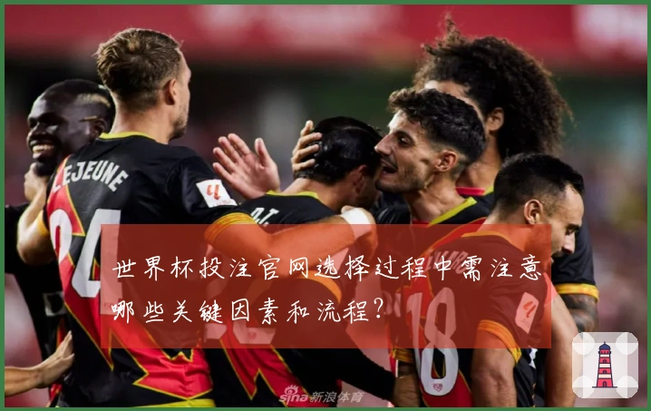 世界杯投注官网选择过程中需注意哪些关键因素和流程？