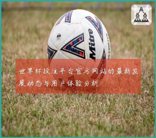 世界杯投注平台官方网站的最新发展动态与用户体验分析