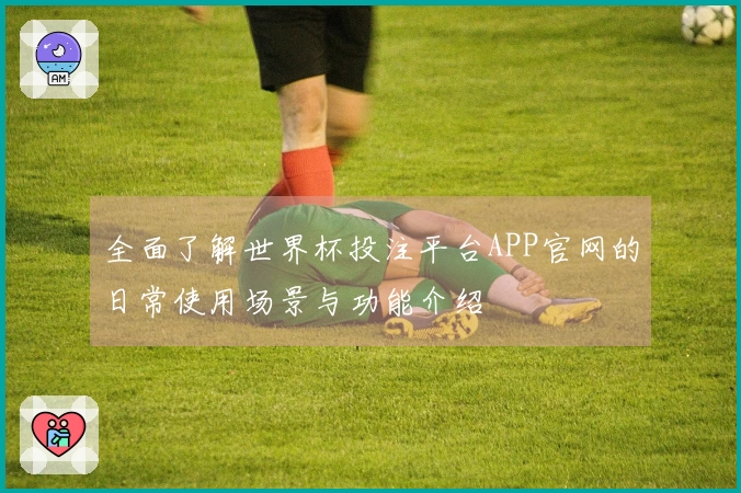 全面了解世界杯投注平台APP官网的日常使用场景与功能介绍