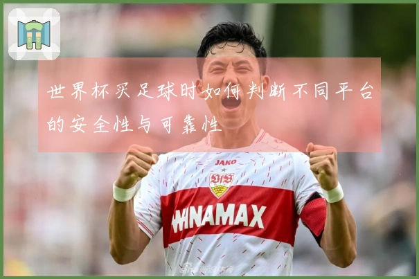 世界杯买足球时如何判断不同平台的安全性与可靠性