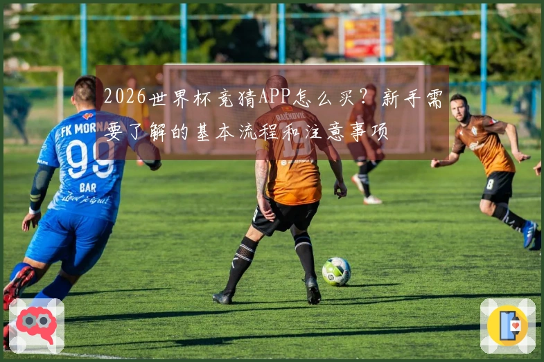 2026世界杯竞猜APP怎么买？新手需要了解的基本流程和注意事项