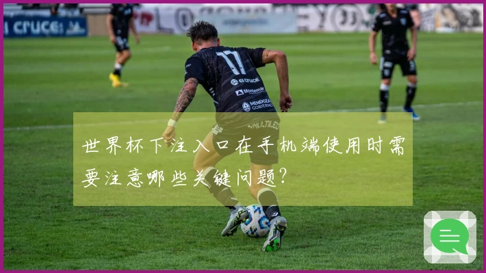 世界杯下注入口在手机端使用时需要注意哪些关键问题？