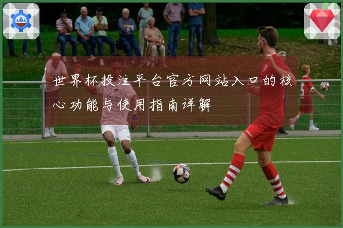 世界杯投注平台官方网站入口的核心功能与使用指南详解