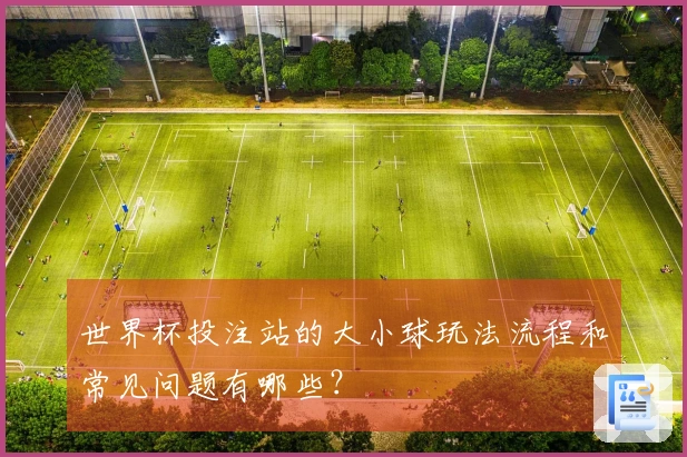 世界杯投注站的大小球玩法流程和常见问题有哪些？
