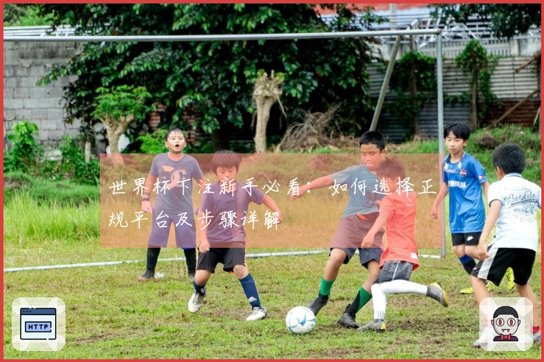 世界杯下注新手必看：如何选择正规平台及步骤详解
