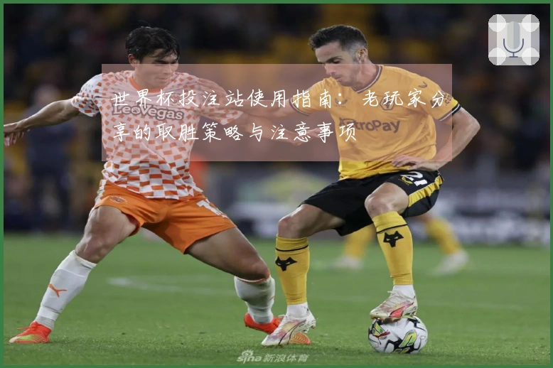世界杯投注站使用指南：老玩家分享的取胜策略与注意事项