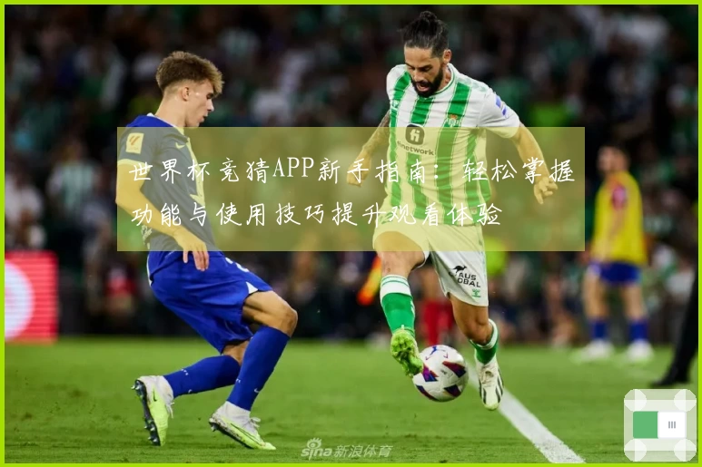 世界杯竞猜APP新手指南：轻松掌握功能与使用技巧提升观看体验