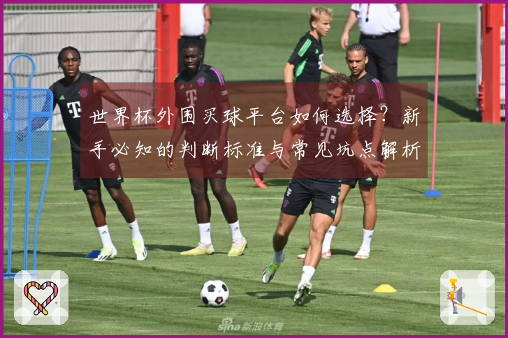 世界杯外围买球平台如何选择？新手必知的判断标准与常见坑点解析