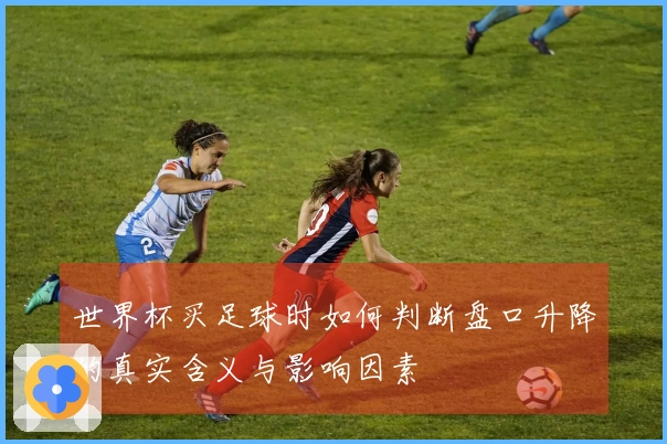 世界杯买足球时如何判断盘口升降的真实含义与影响因素