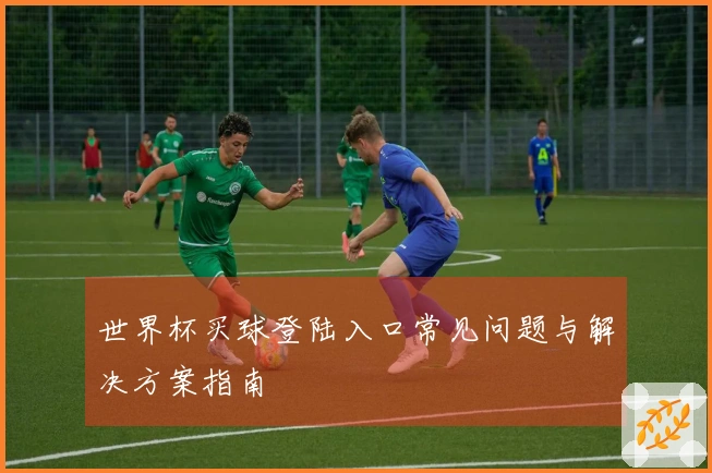 世界杯买球登陆入口常见问题与解决方案指南