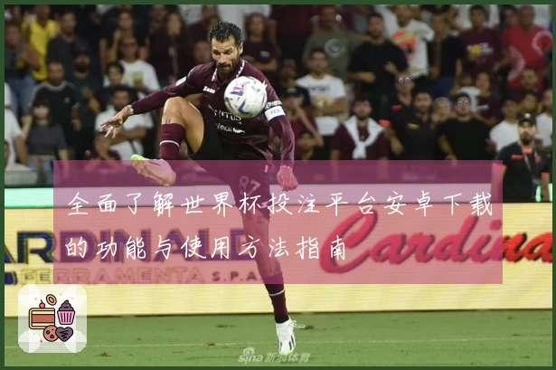 全面了解世界杯投注平台安卓下载的功能与使用方法指南