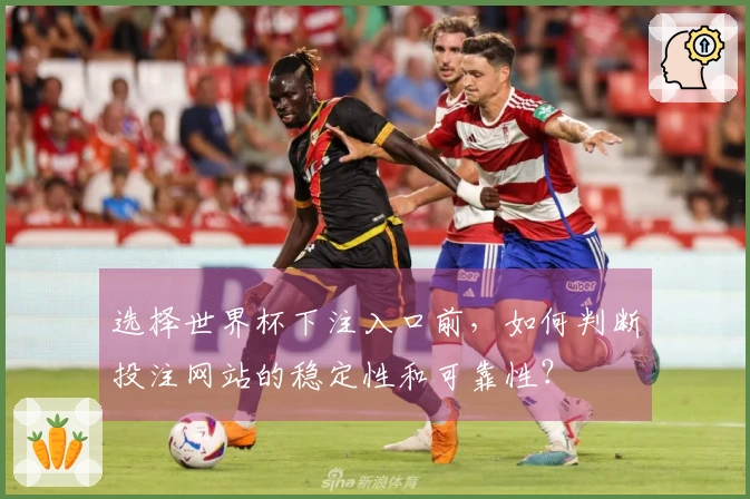 选择世界杯下注入口前，如何判断投注网站的稳定性和可靠性？