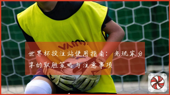 世界杯投注站使用指南：老玩家分享的取胜策略与注意事项
