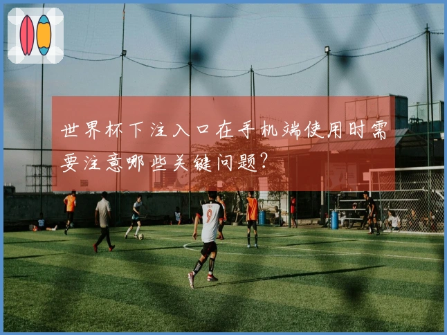世界杯下注入口在手机端使用时需要注意哪些关键问题？
