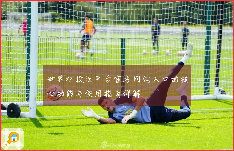世界杯投注平台官方网站入口的核心功能与使用指南详解