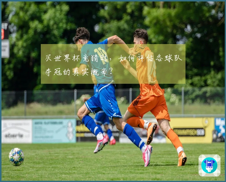 买世界杯竞猜时，如何评估各球队夺冠的真实概率？