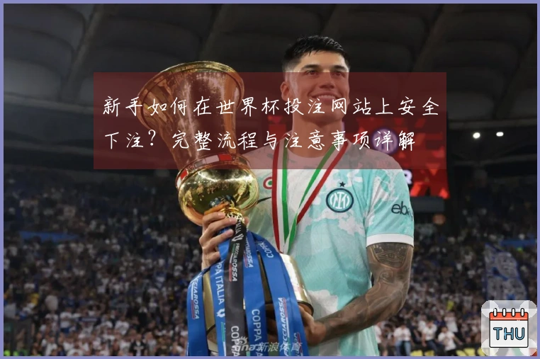 新手如何在世界杯投注网站上安全下注？完整流程与注意事项详解