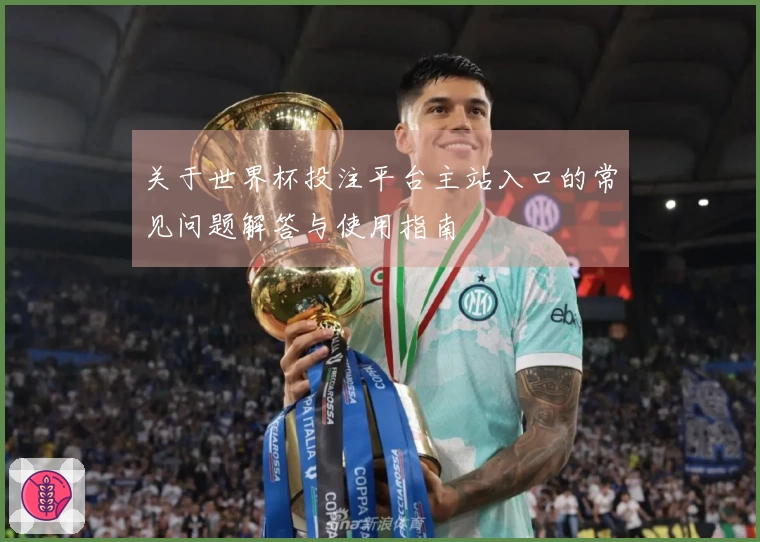 关于世界杯投注平台主站入口的常见问题解答与使用指南