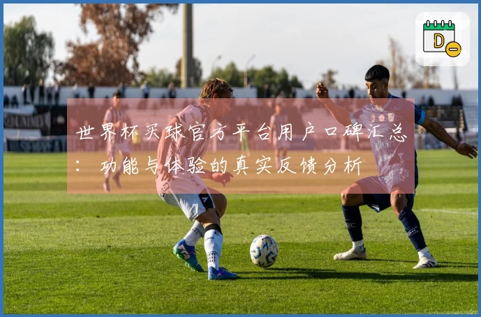 世界杯买球官方平台用户口碑汇总：功能与体验的真实反馈分析