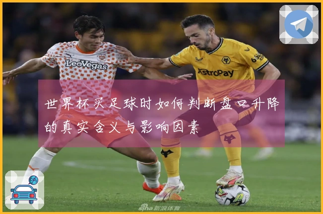 世界杯买足球时如何判断盘口升降的真实含义与影响因素