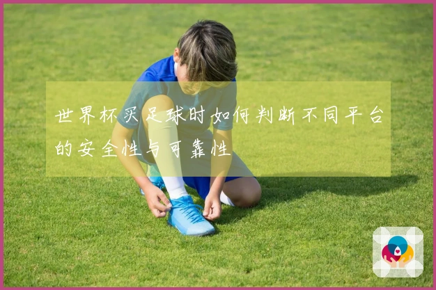 世界杯买足球时如何判断不同平台的安全性与可靠性